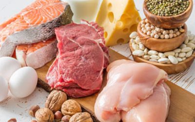 Protein, what is it and how does it help with weight loss